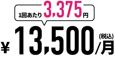 13,500円(税込)/月