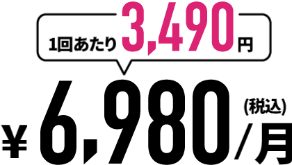 6,980円(税込)/月